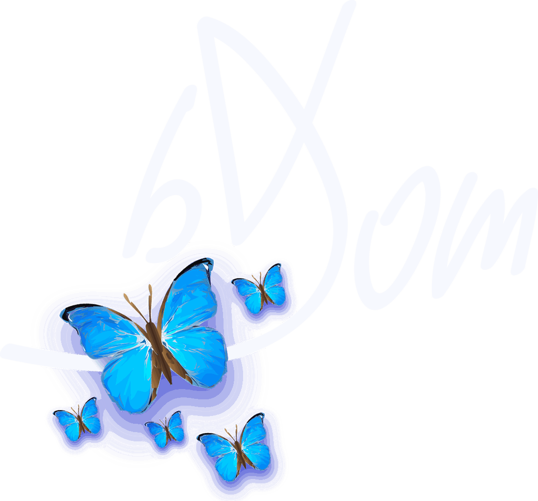 bDom — signature de Dominique Bruyneel